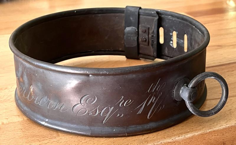 17TH REGIMENT OF FOOT - CPT. SIR HENRY SCRYMGEOUR WEDDERBURN ( Earl of Dundee ) - 1858 - HUNTING DOG METAL COLLAR -  ATTRIBUTED