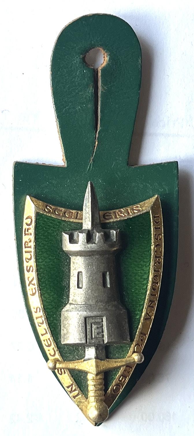 H.Q Allied Forces CENTRAL EUROPE Breast Tab Badge US Army NATO AFCENT