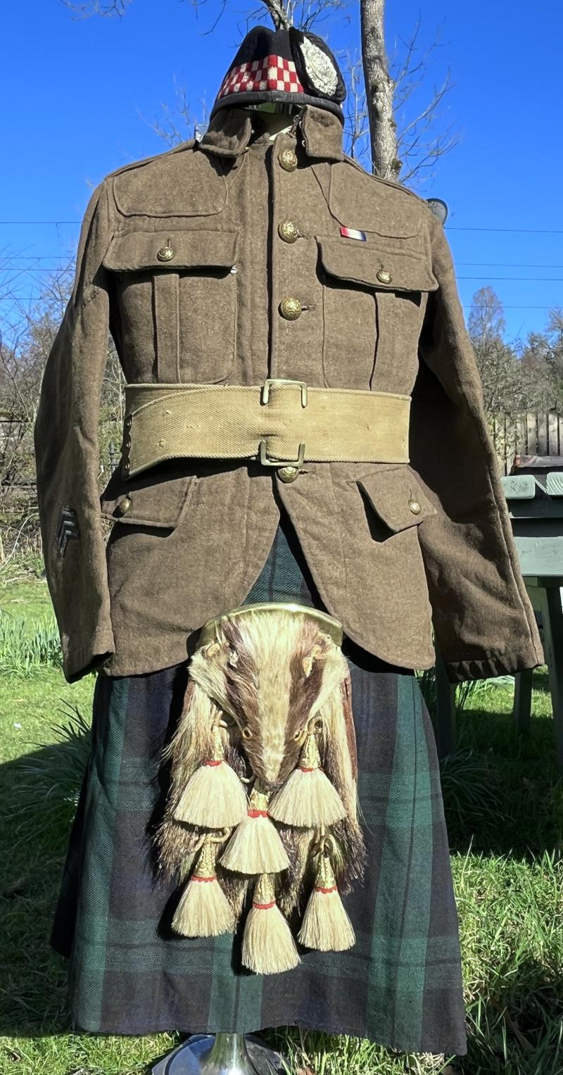 ARGYLL & SUTHERLAND HIGHLANDERS VICTORIAN OFFICERS BADGER HEAD SPORRAN